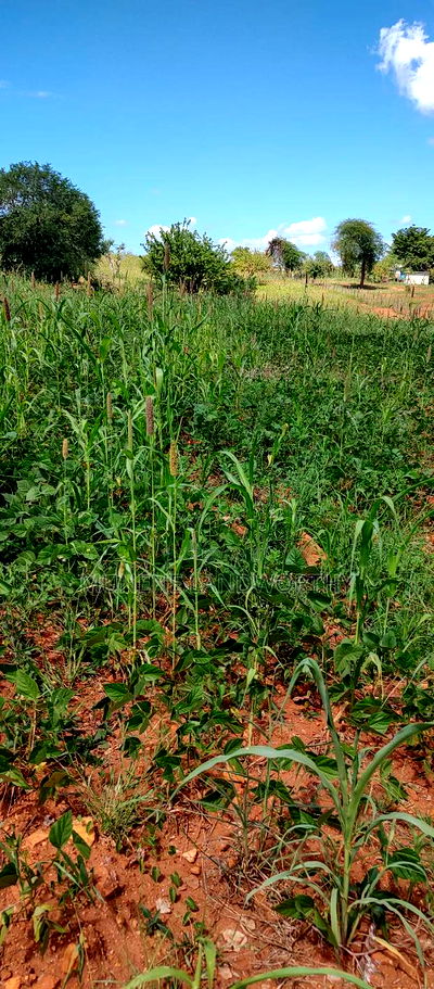 Embu County, Kiambere 10 Agricultural Farmland. - Image 12