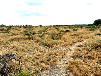 Vacant Plot for Sale at Kimalat - Image 2