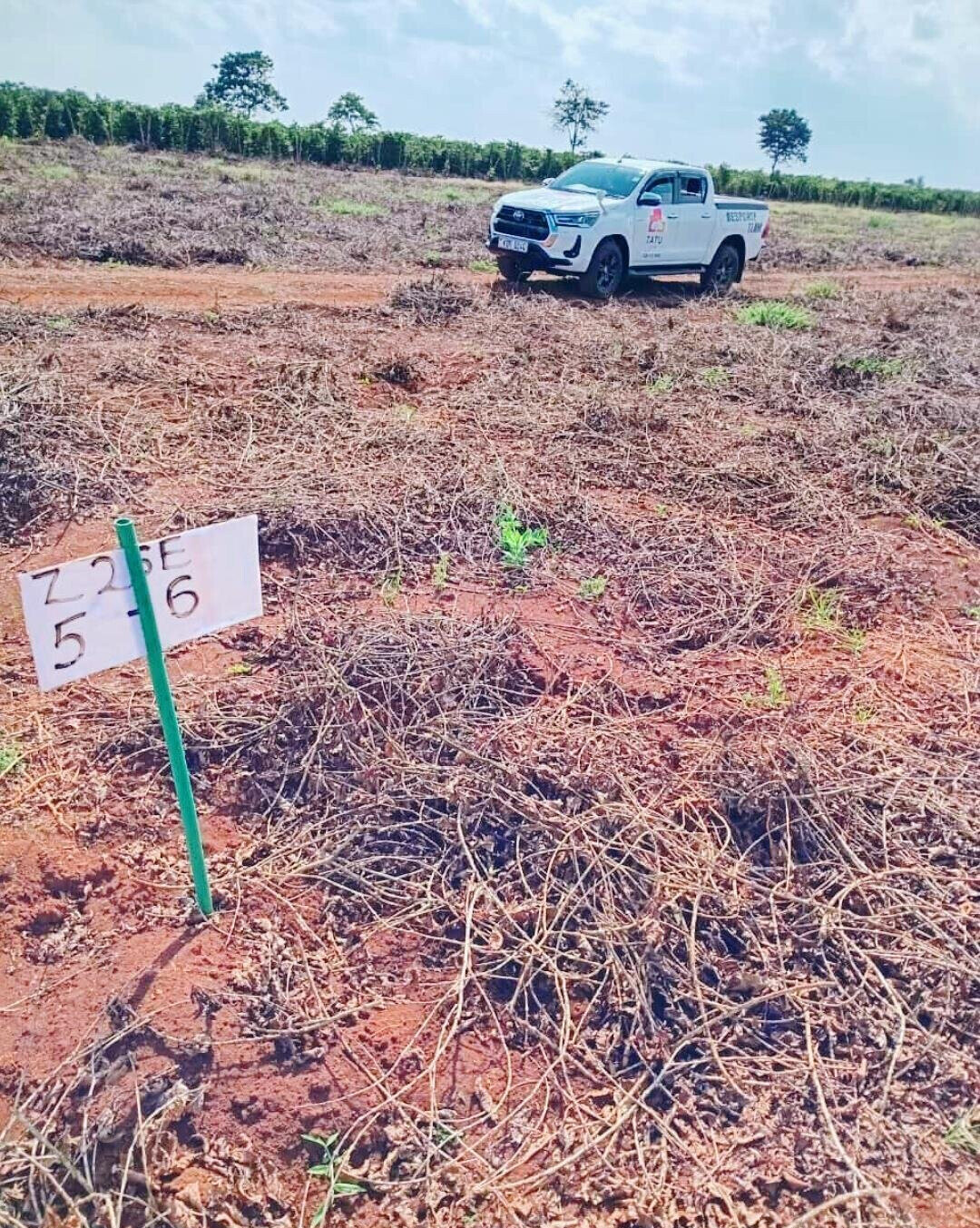 Quarter Acre Serviced Plot
