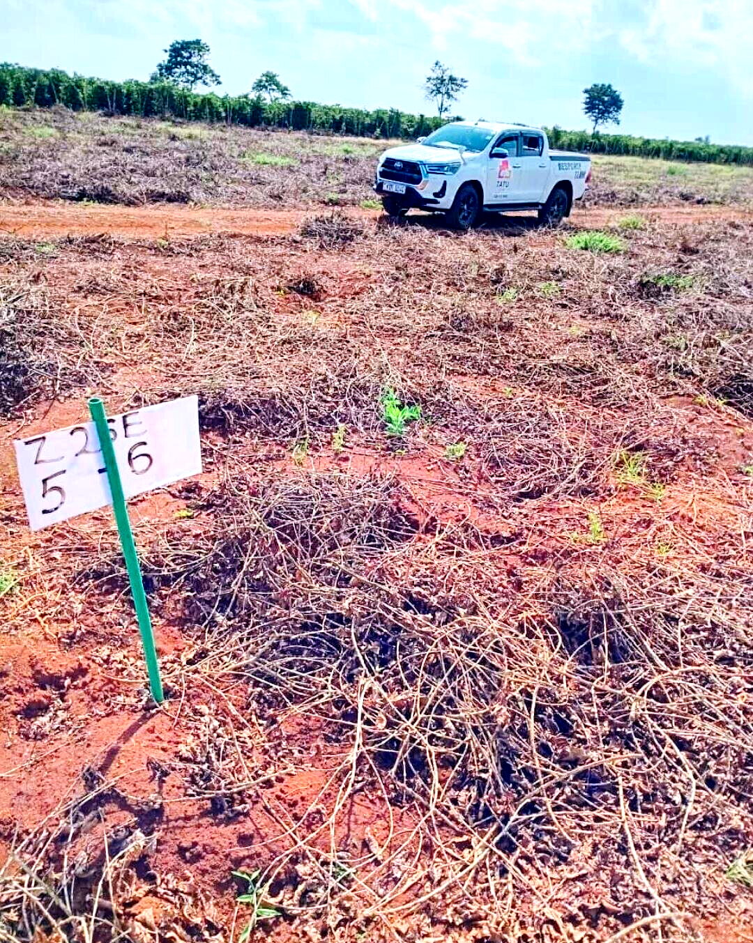 Quarter Acre Serviced Plot