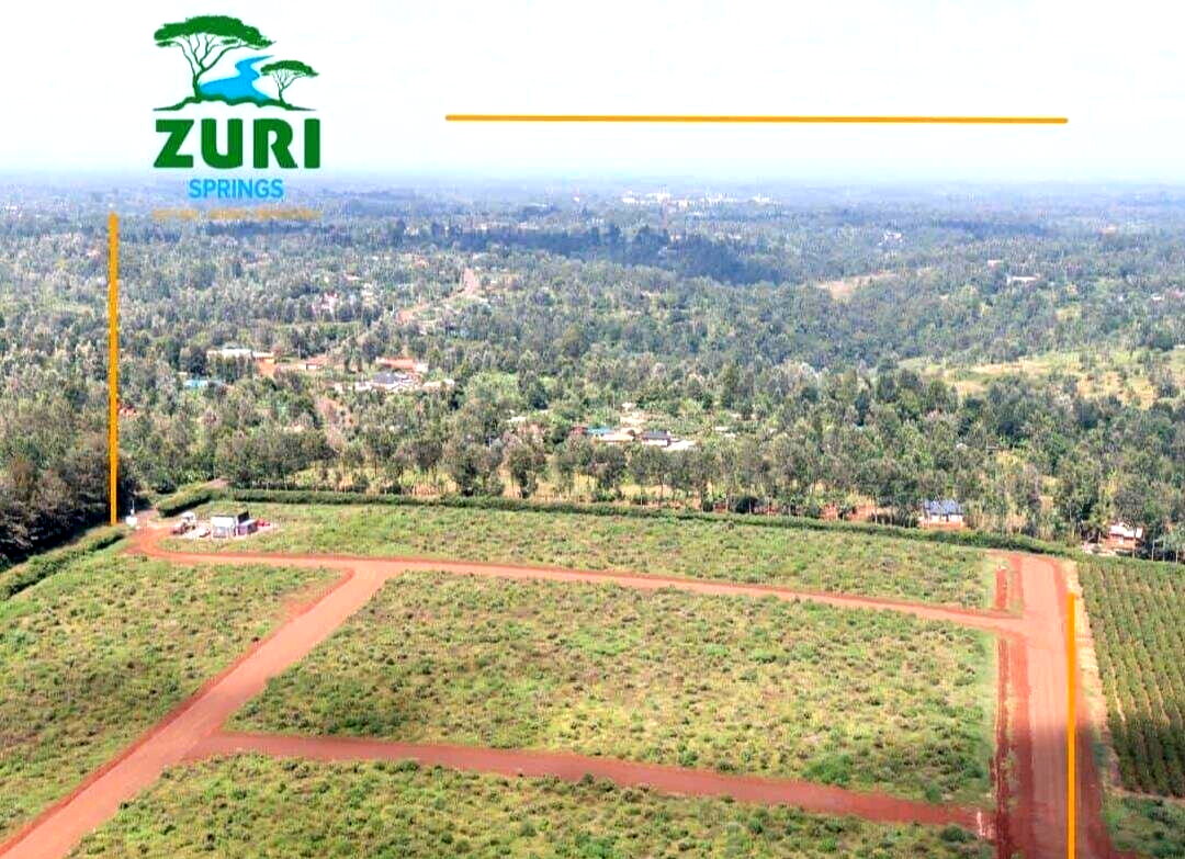 Quarter Acre Serviced Plot