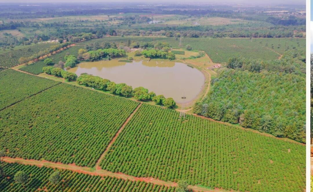 Quarter Acre Serviced Plot