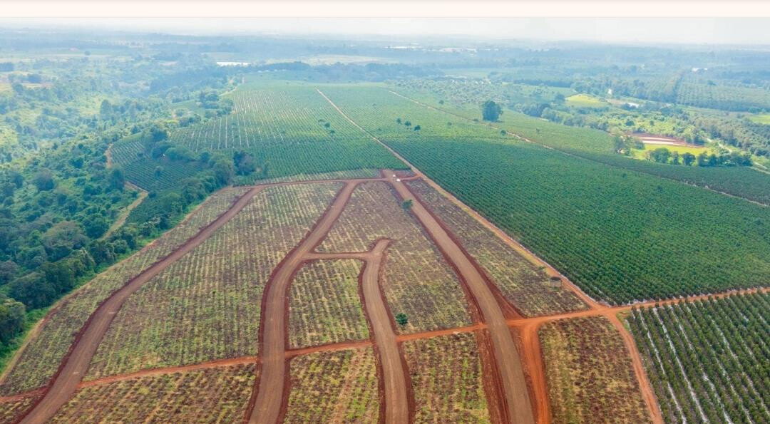 Quarter Acre Serviced Plot