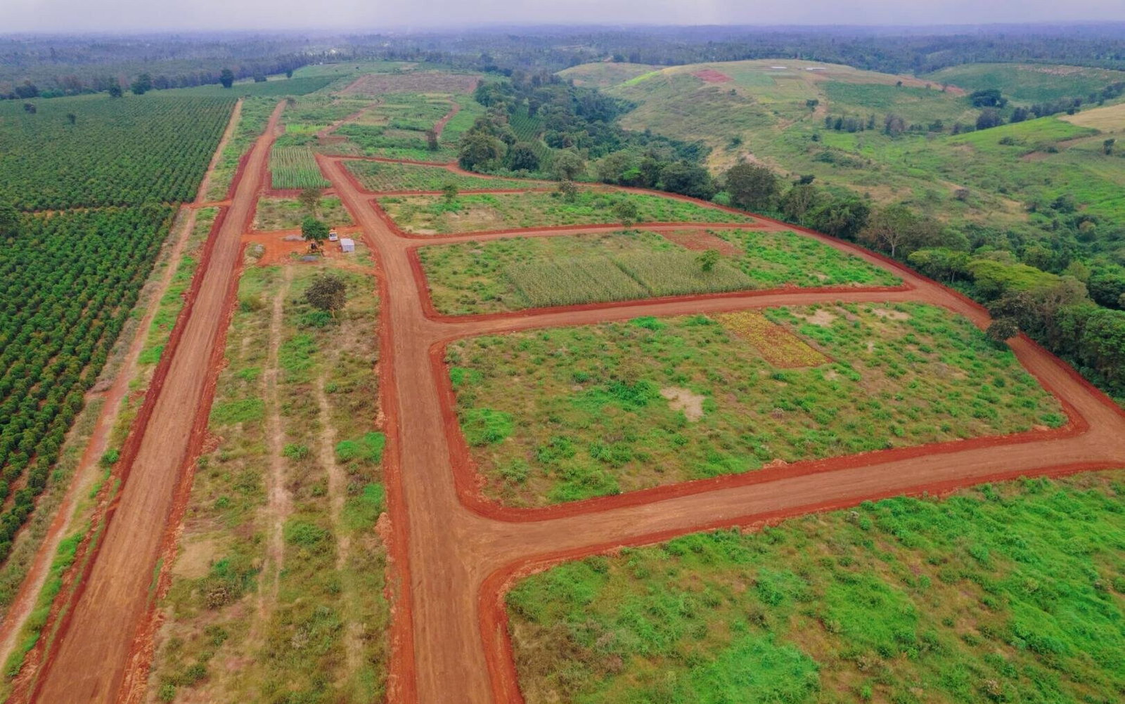 Quarter Acre Serviced Plot