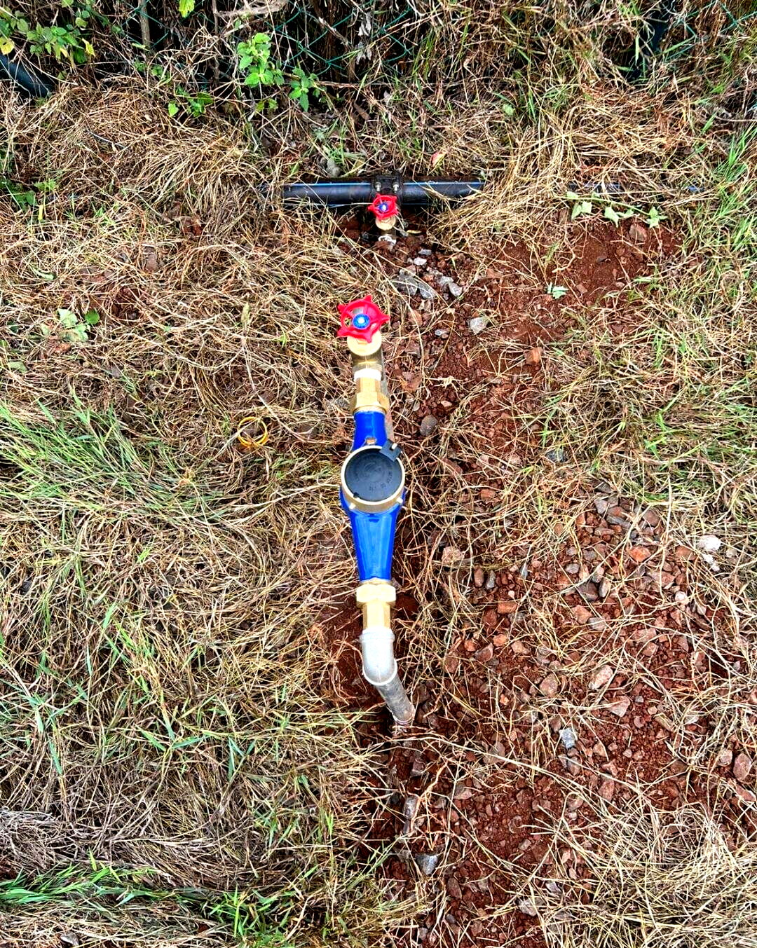 Quarter Acre Serviced Plot