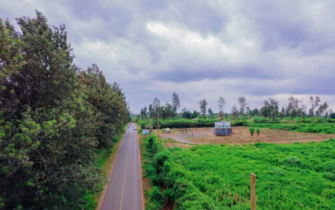Quarter Acre Serviced Plot
