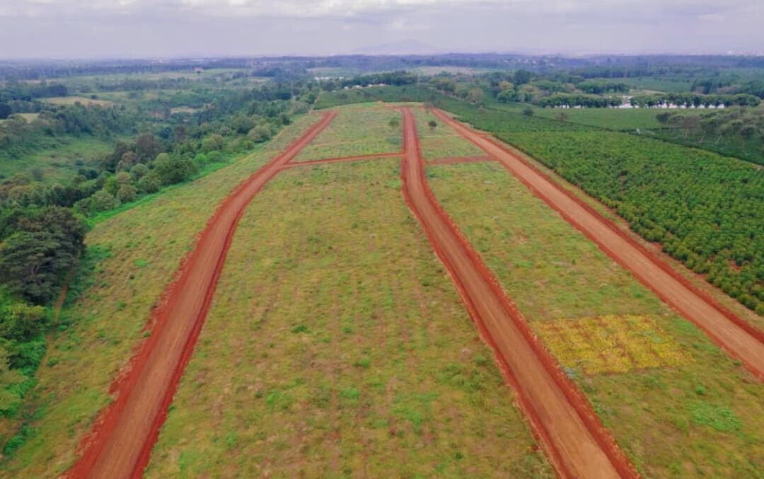 Quarter Acre Serviced Plot
