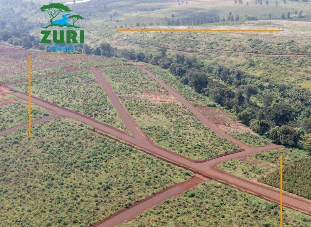 Quarter Acre Serviced Plot