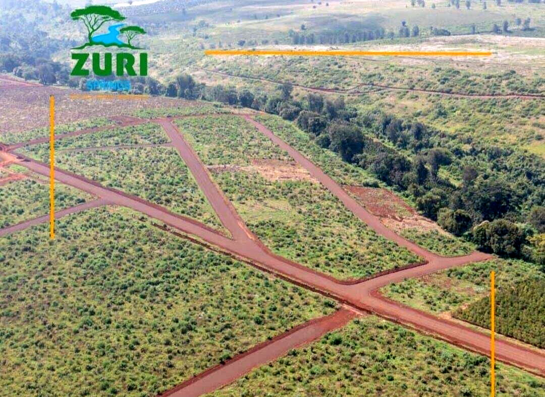 Quarter Acre Serviced Plot