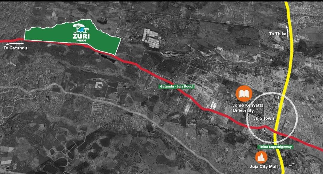 Quarter Acre Serviced Plot