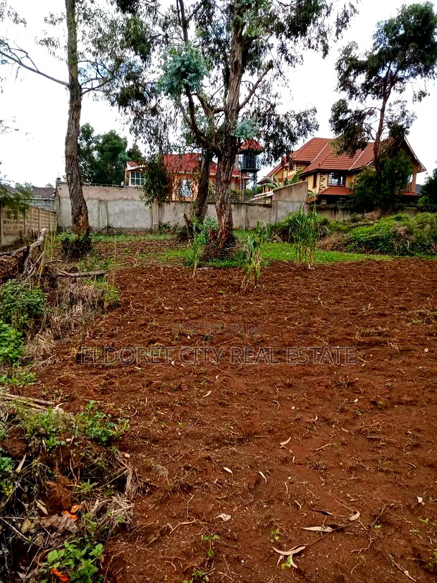 1/2 Acre Hillside With Perimeter Wall .