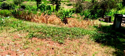 1.05 Land for Sale in Nyeri Town - Image 3