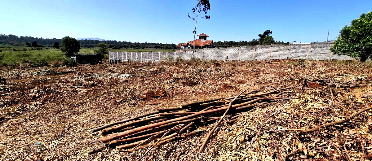 KSh 17M Langata Gem