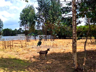 Superior Ready - To Build Plots - Image 2