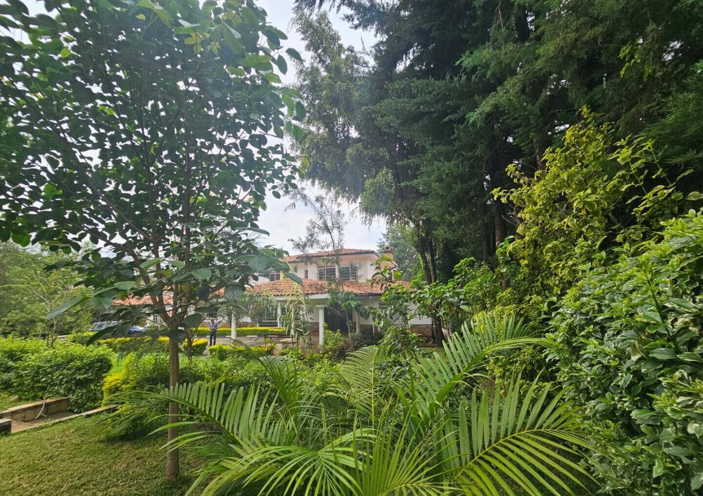 50x100 Plot Commercial Space with Garden