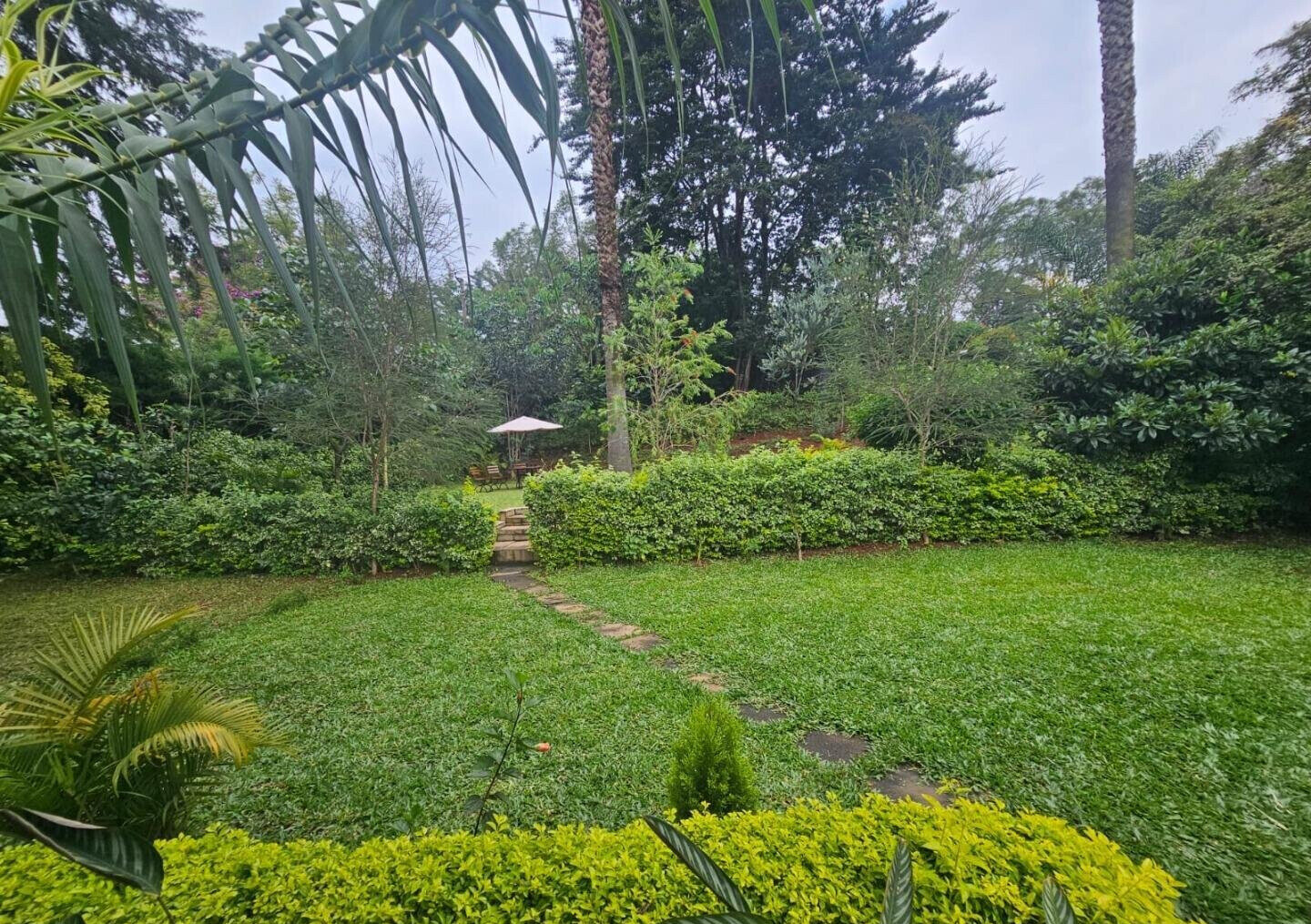 50x100 Plot Commercial Space with Garden