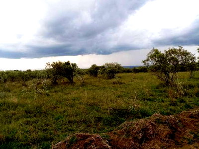 Naivasha Kedong 28 Acres, With Lake Longonot Views - Image 4