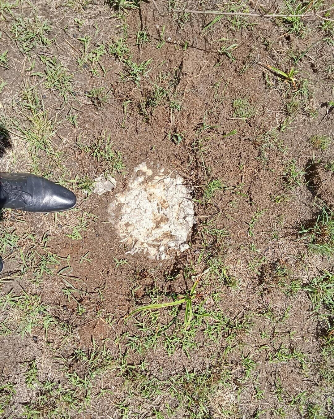 Half Acre Plot for KSh 42M