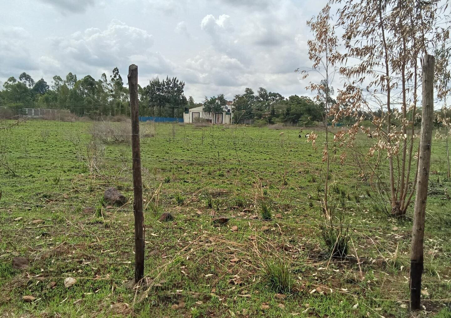 Half Acre Plot for KSh 42M