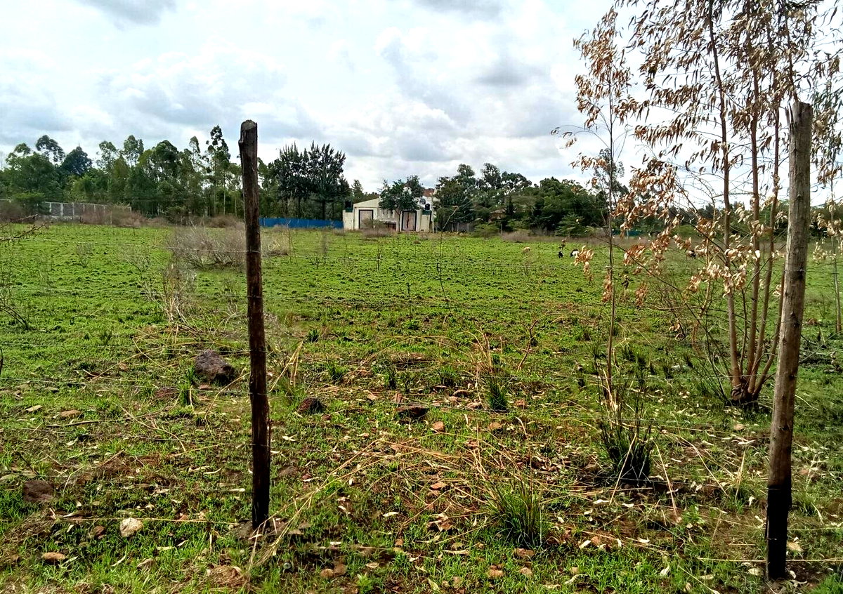 Half Acre Plot for KSh 42M