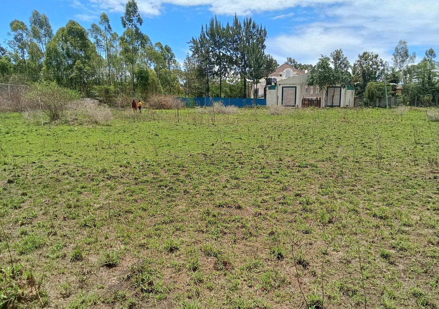 Half Acre Plot for KSh 42M