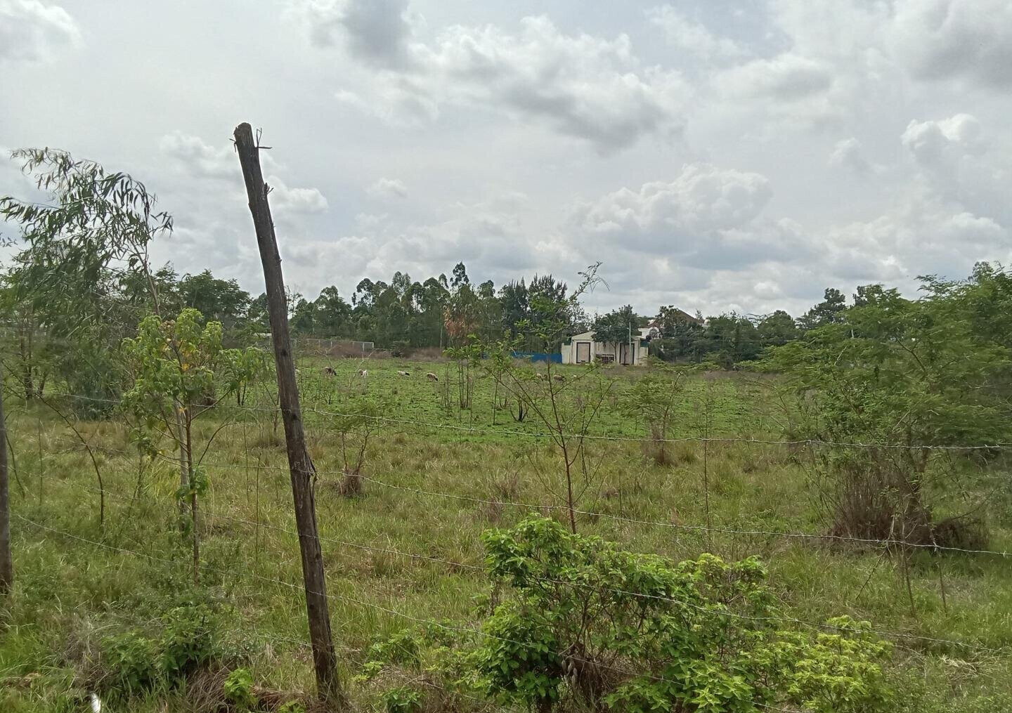 Half Acre Plot for KSh 42M