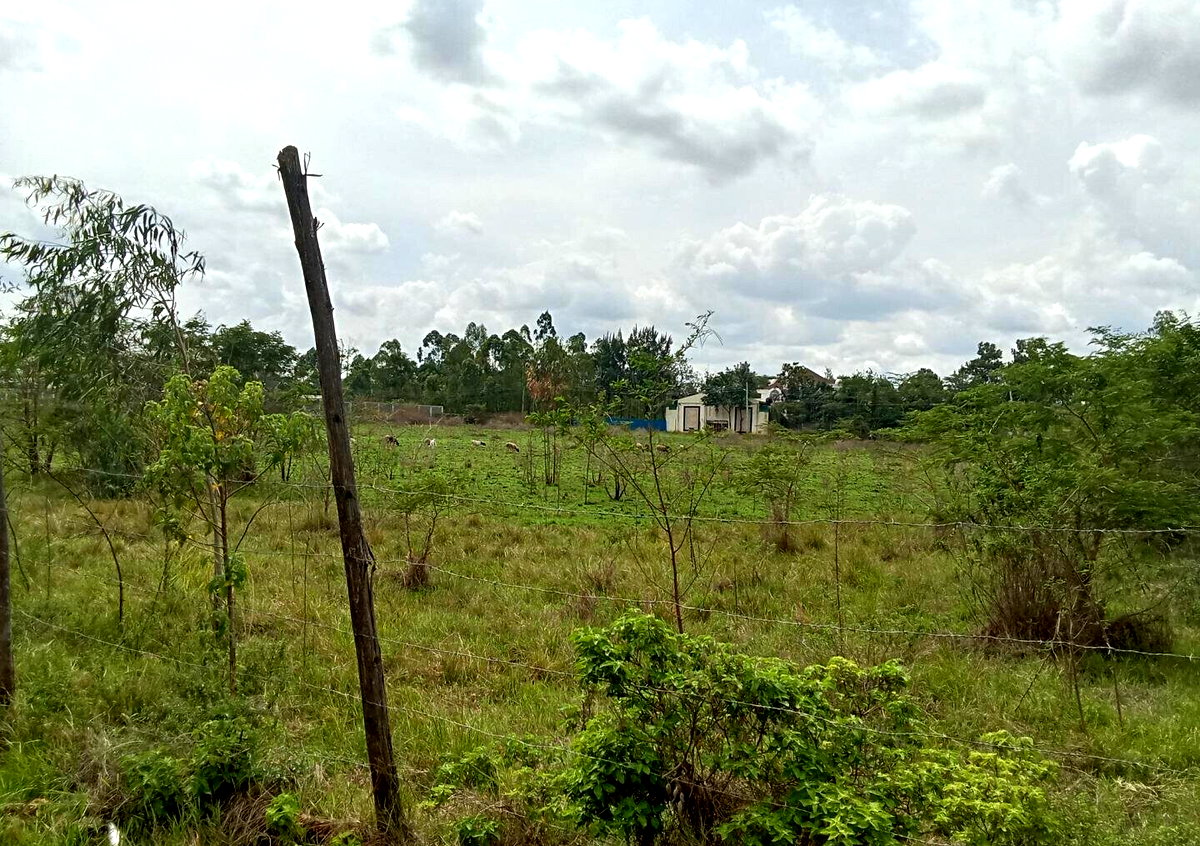 Half Acre Plot for KSh 42M