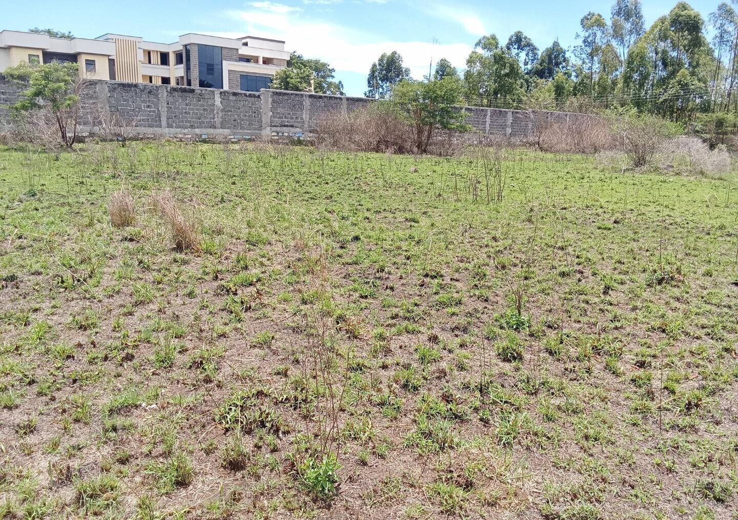 Half Acre Plot for KSh 42M