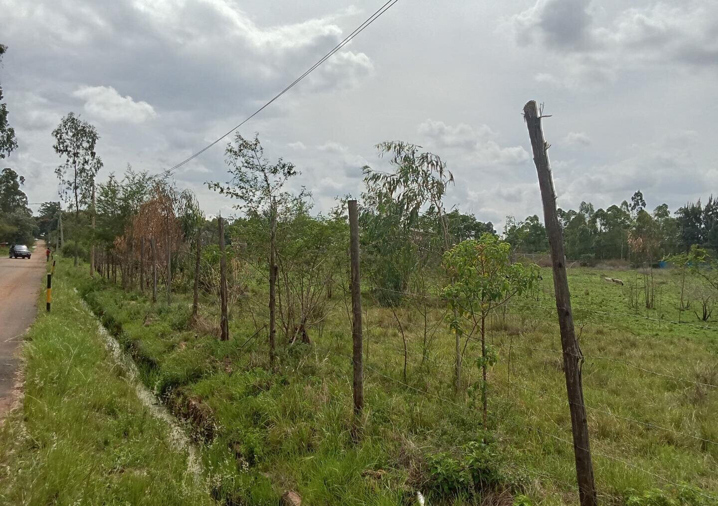 Half Acre Plot for KSh 42M
