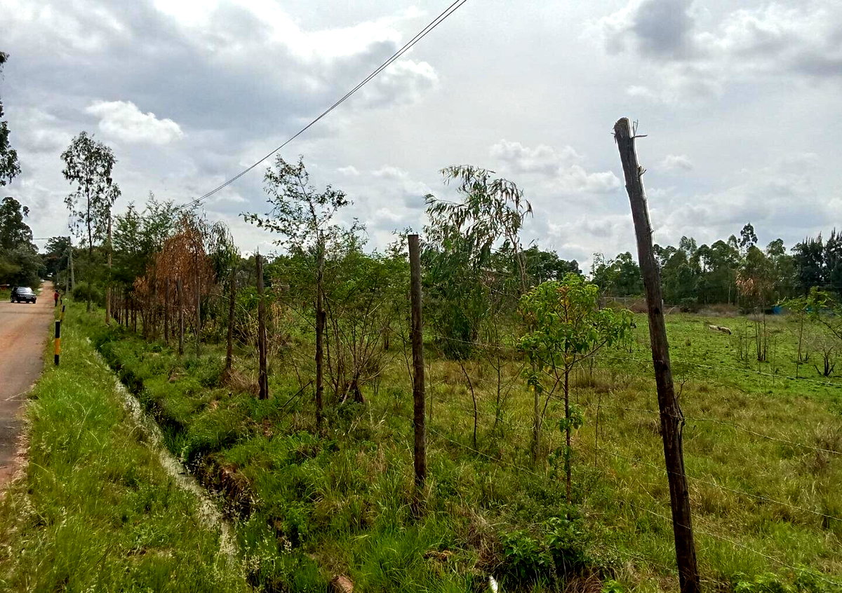Half Acre Plot for KSh 42M