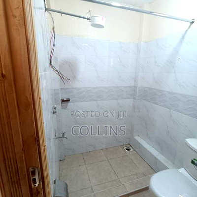2bdrm Apartment in Thogoto for rent - Image 6