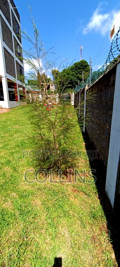 2bdrm Apartment in Thogoto for rent - Image 12