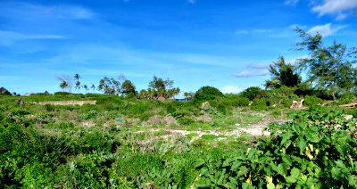 4-Acre Beachfront Land at KSh 45M