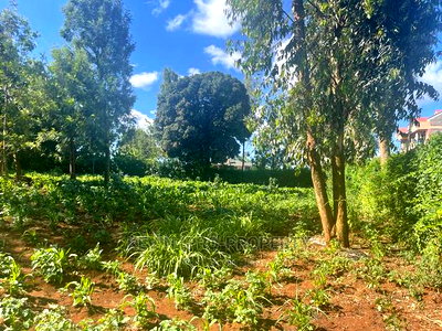 Prime Commercial Plot in Kikuyu, Thogoto-Southern Bypass. - Image 7