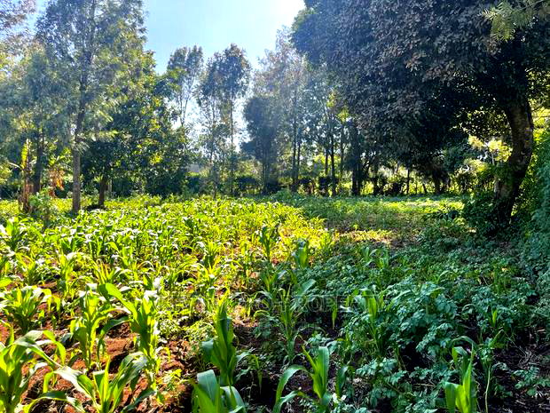 Prime Commercial Plot in Kikuyu, Thogoto-Southern Bypass.