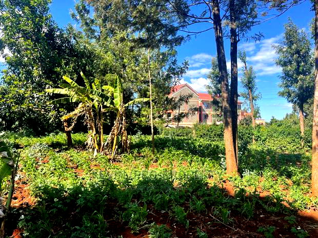 Prime Commercial Plot in Kikuyu, Thogoto-Southern Bypass.