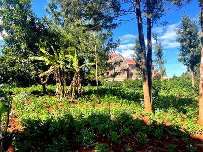 Prime Commercial Plot in Kikuyu, Thogoto-Southern Bypass. - Image 3