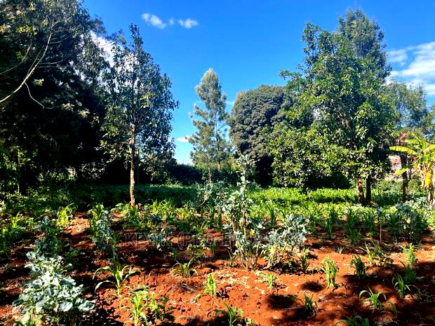 Prime Commercial Plot in Kikuyu, Thogoto-Southern Bypass.