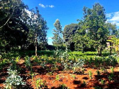 Prime Commercial Plot in Kikuyu, Thogoto-Southern Bypass. - Image 4