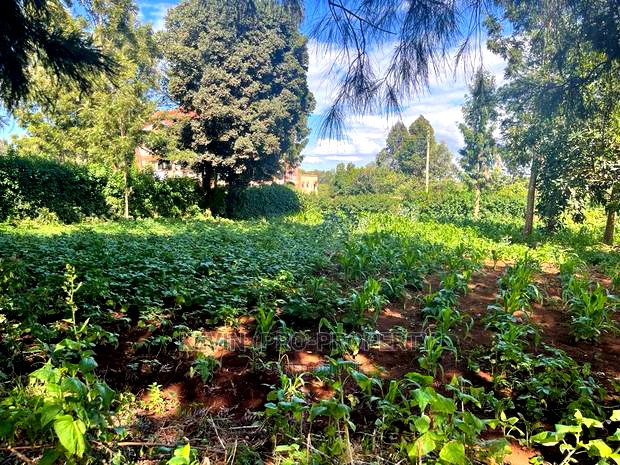 Prime Commercial Plot in Kikuyu, Thogoto-Southern Bypass.