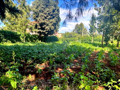 Prime Commercial Plot in Kikuyu, Thogoto-Southern Bypass. - Image 2
