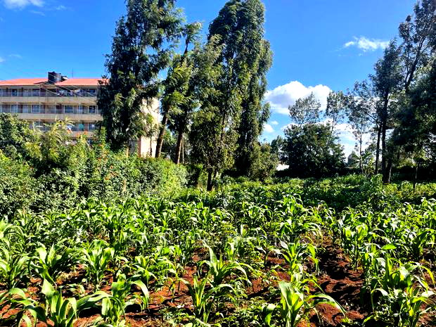 Prime Commercial Plot in Kikuyu, Thogoto-Southern Bypass.