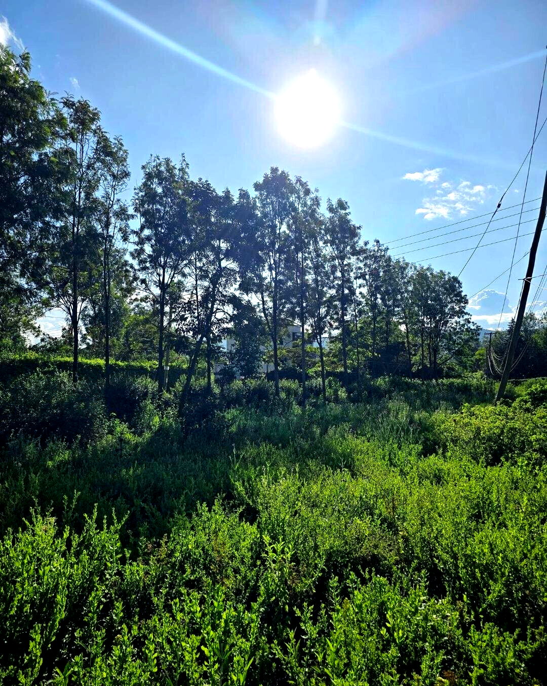 Quarter Acre Garden Plot at KSh 4.3M