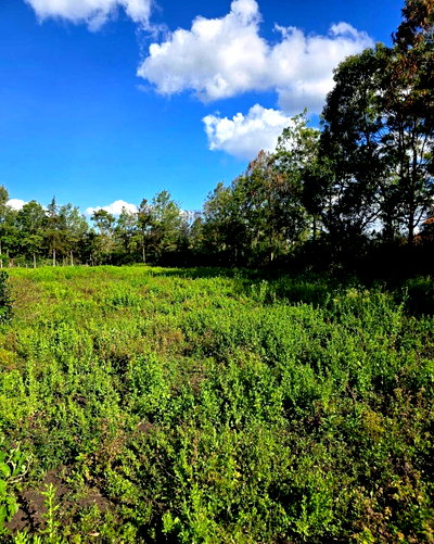 Quarter Acre Garden Plot at KSh 4.3M