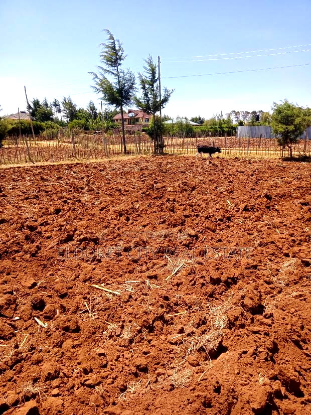 1/4 Plot Kipkorgot Ideal for Residential