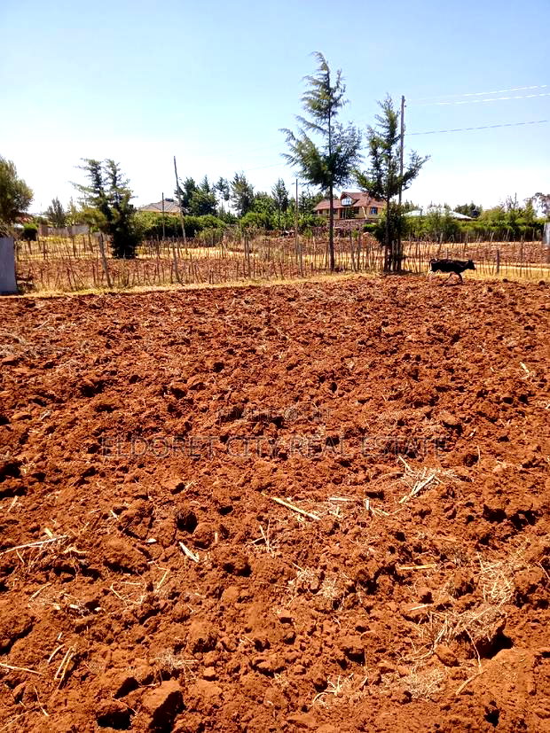 1/4 Plot Kipkorgot Ideal for Residential