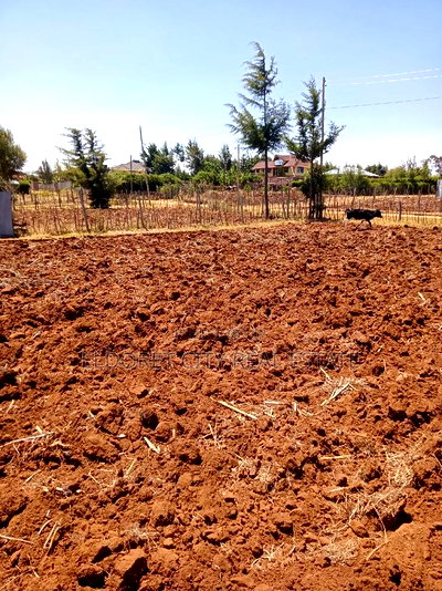 1/4 Plot Kipkorgot Ideal for Residential - Image 2