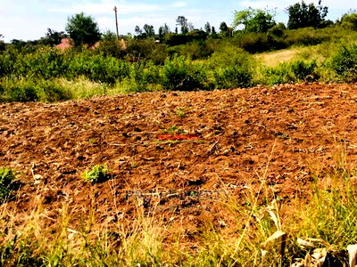 Prime Residential Plots for Sale in Thika, Gatuanyaga. - Image 13