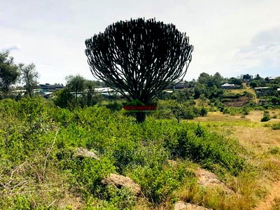 Prime Residential Plots for Sale in Thika, Gatuanyaga. - Image 18