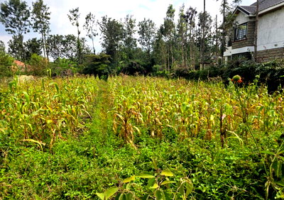20-Acre Garden Plot for Sale
